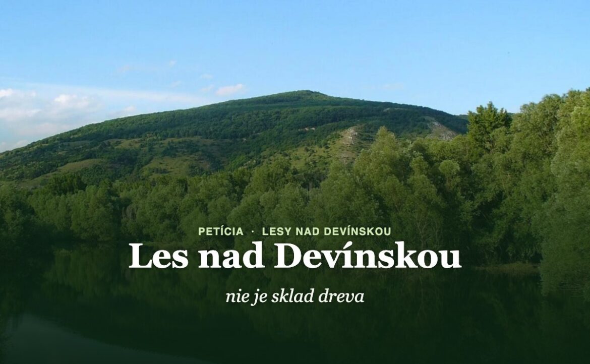 Devínska Kobyla nad Moravou s nadpisom Les nad Devínskou nie je sklad dreva